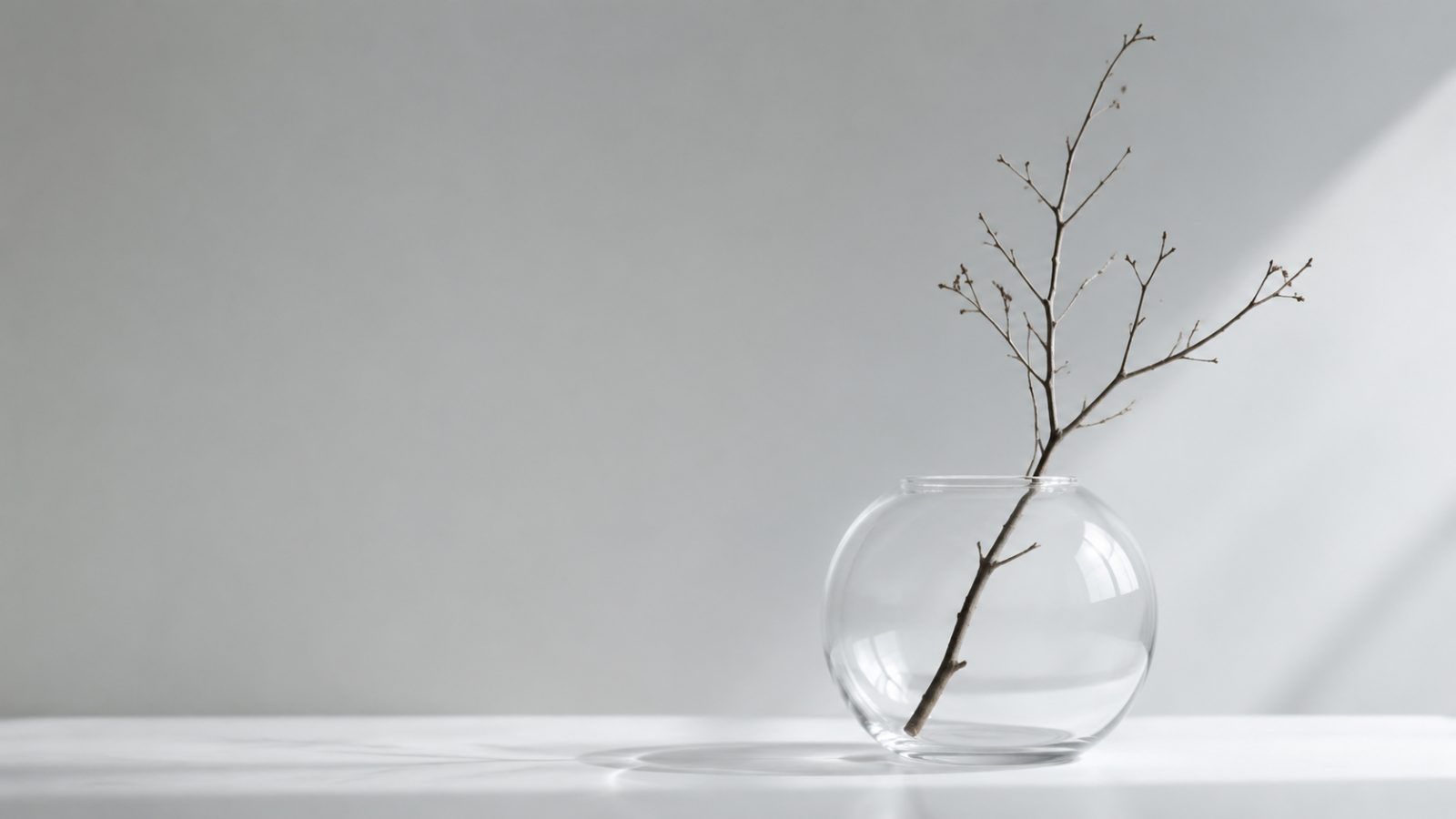 极简壁纸，浅灰色背景，一个圆形透明玻璃花瓶，插一根枯枝，光影柔和，留白大量，超高清 - 唯爱壁纸
