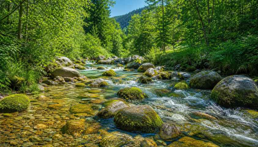 夏日溪水 石头苔藓 清澈流水 冰凉感 清新风景 4K壁纸 - 唯爱壁纸