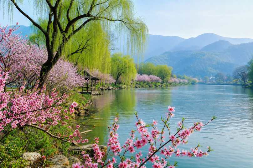 春日江畔花柳 柳树新绿 桃花盛开 江岸春景 4K壁纸 - 唯爱壁纸