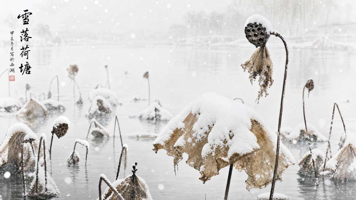 雪落荷塘 残荷积雪 水墨意境 清雅冬日 4K壁纸 - 唯爱壁纸