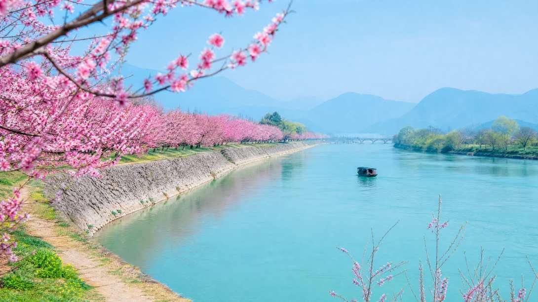 桃花与江水 江堤桃林 春水碧色 春日江景 4K壁纸 - 唯爱壁纸