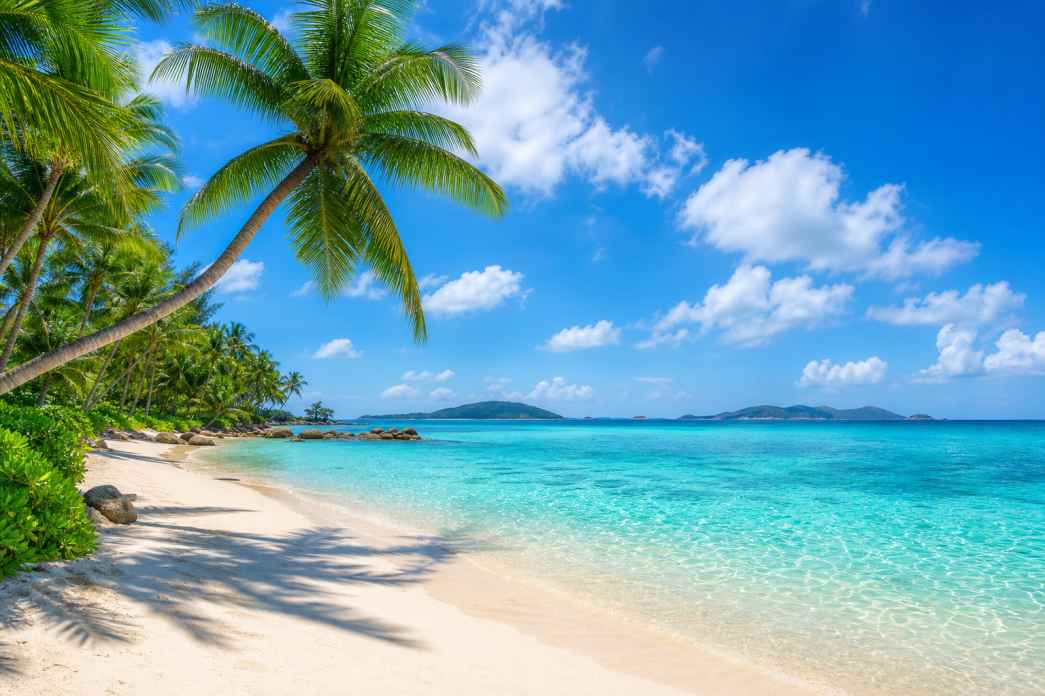 夏日海风 椰树轻摇 蓝天碧海 白色云朵 清新度假 4K壁纸 - 唯爱壁纸