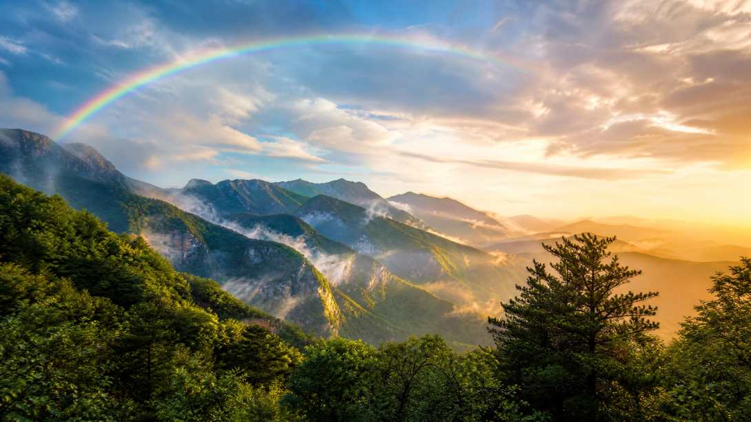 雨后山峦与山间彩虹 湿润林木 霞光漫山 清新自然 4K壁纸 - 唯爱壁纸